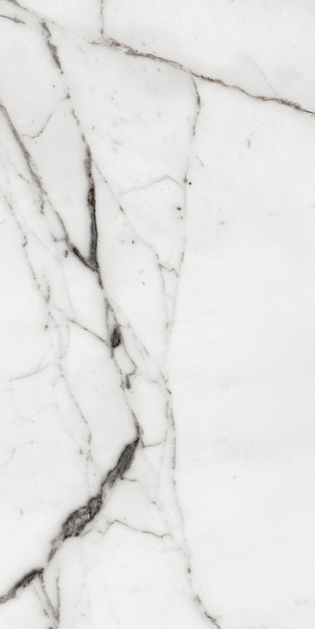 Florim Rex Origines De Rex Argent Glossy 60X120 Ret 769859