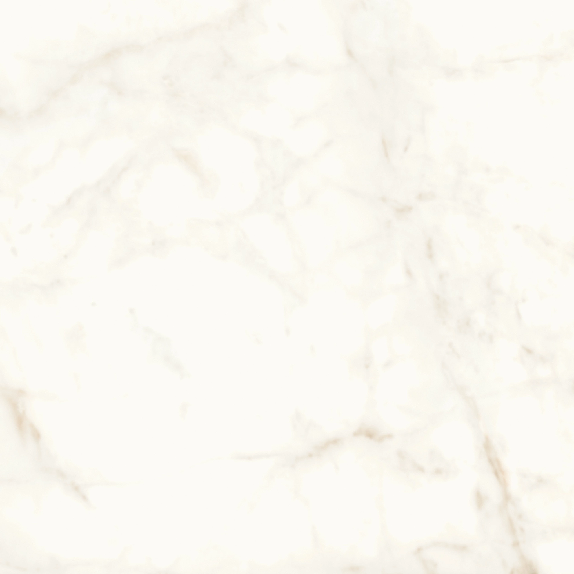 Atlas Concorde Marvel Calacatta Delicato 120X120 Matt  A4Q4