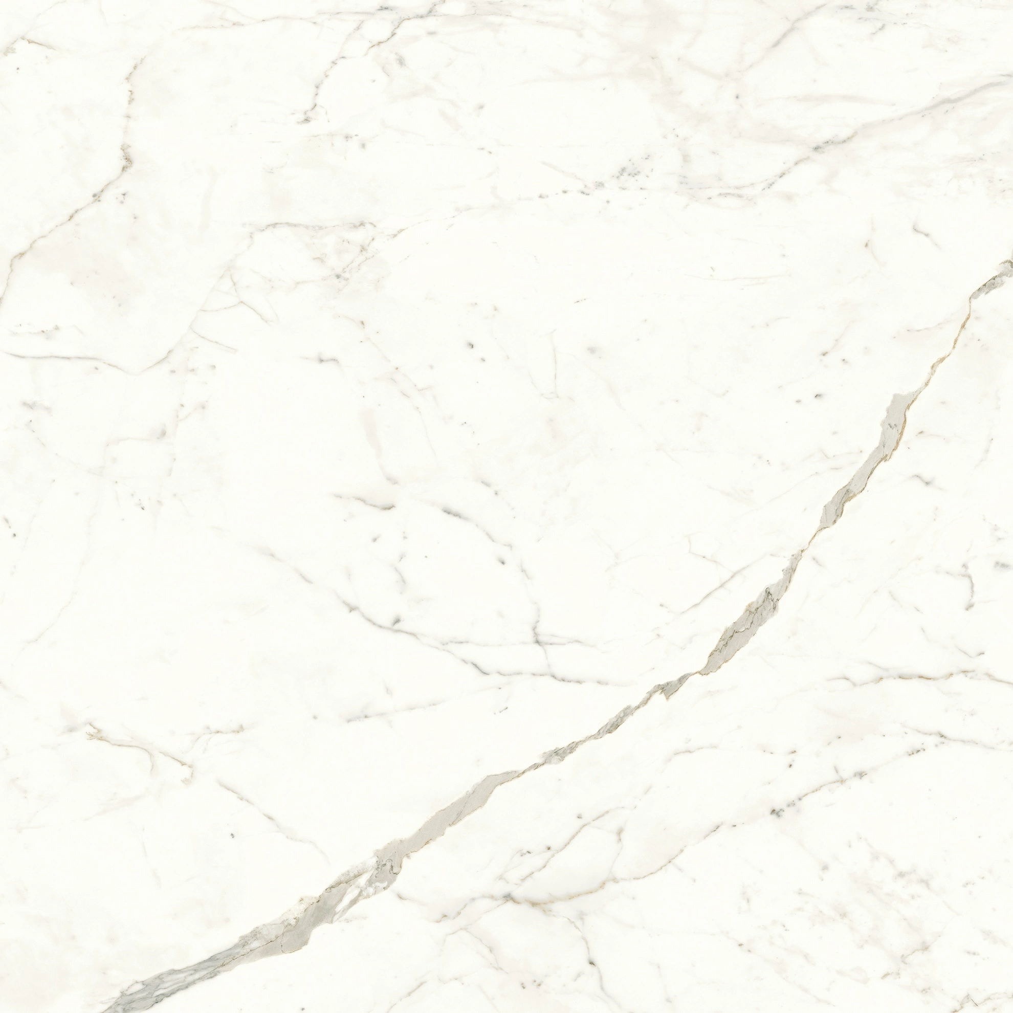 Atlas Concorde Marvel Calacatta Prestigio 120X120 Lappato  A4Q9