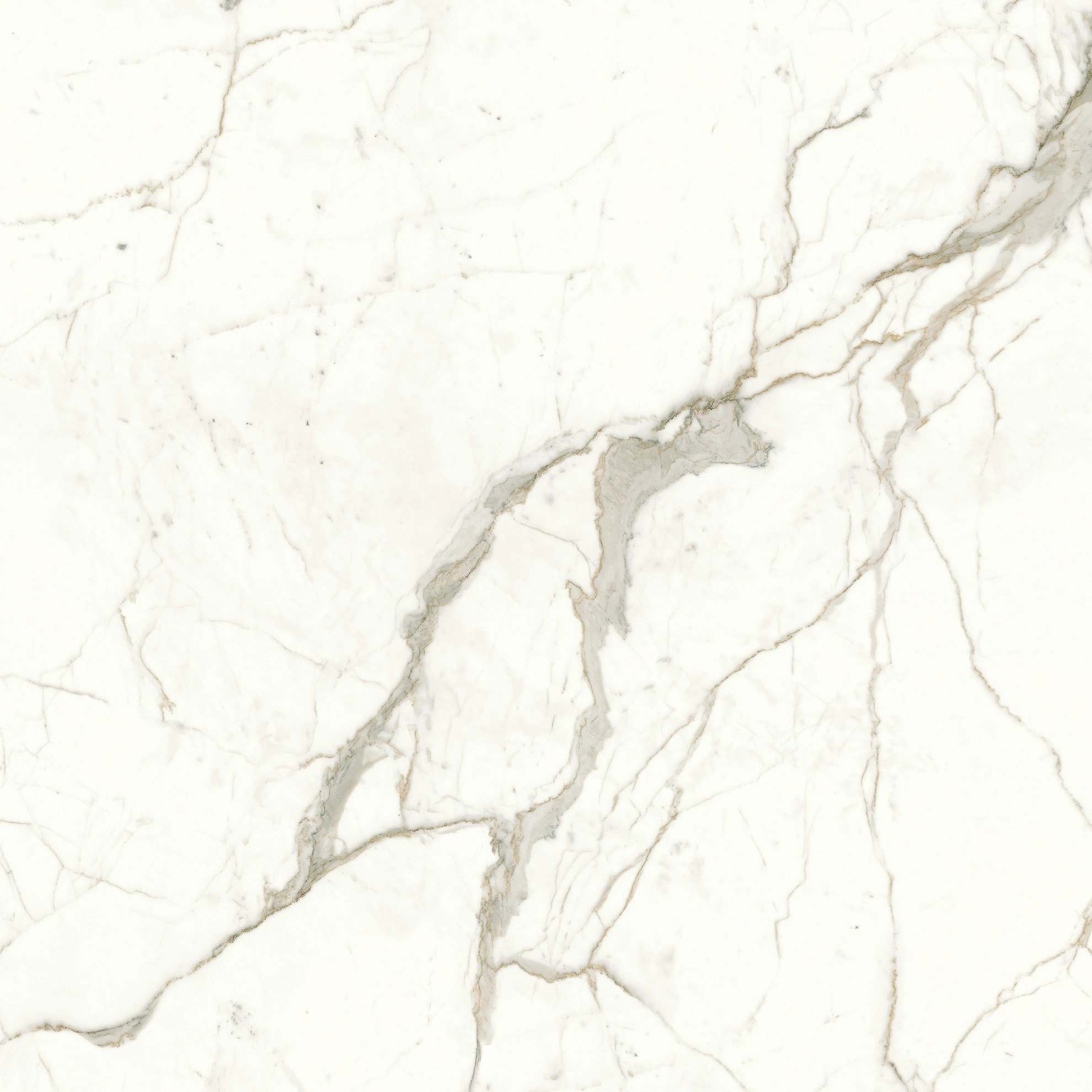 Atlas Concorde Marvel Calacatta Prestigio 120X120 Lappato  A4Q9