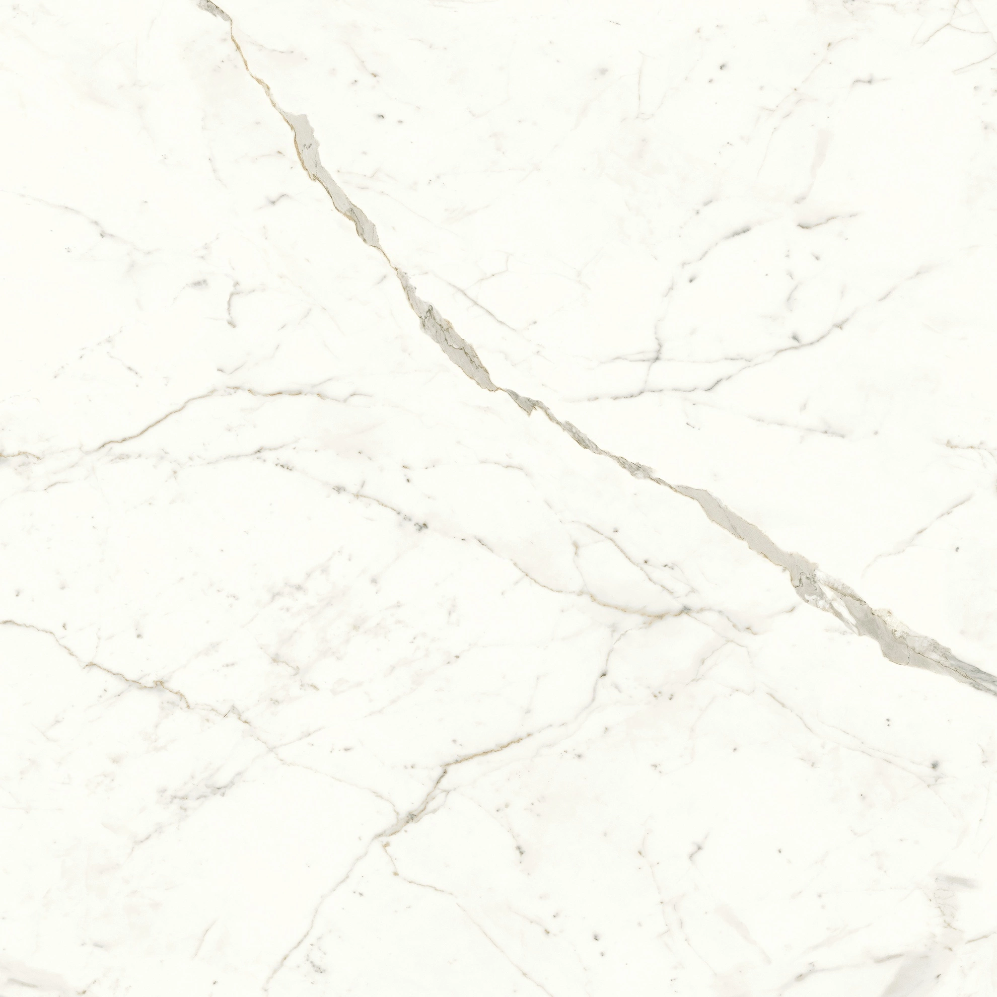 Atlas Concorde Marvel Calacatta Prestigio 120X120 Lappato  A4Q9